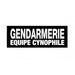 Bandeau rétroréfléchissant GENDARMERIE Patrol Equipement - Blanc - Welkit.com