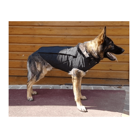 Harnais pour chien SPECIAL SWAT Morin - Noir - Welkit.com