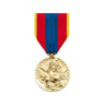 Médaille DÉFENSE NATIONALE OR DMB Products - Autre - Welkit.com